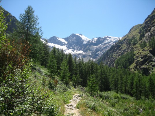 Cogne, Gran Paradiso - Alessandro Ginotta