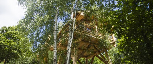 Amazing tree houses in Piedmont, Italy
