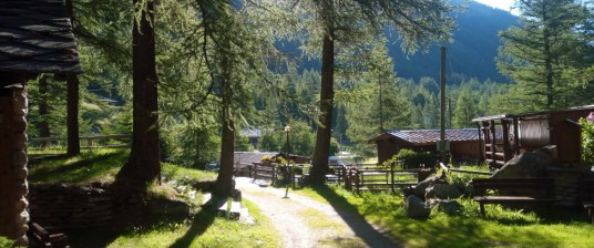 A little paradise among the Alpine Pearls: silence and wonderful natural landscapes in Piccolo Paradiso eco-camping