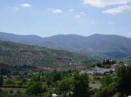 Andalusian countryside, Spain