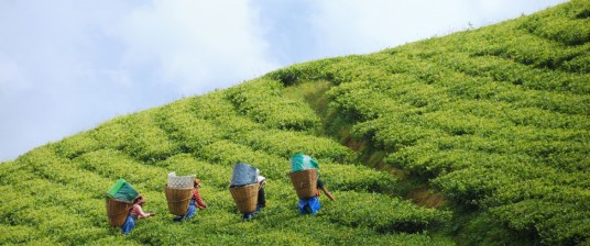 Sikkim