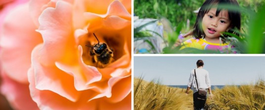 The 10 best Green News of 2018
