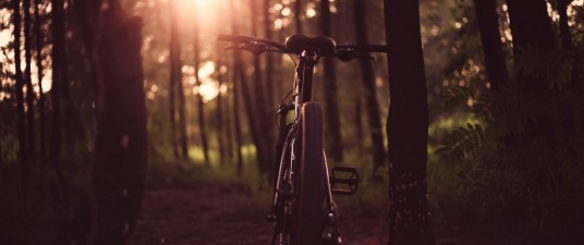 Bike at the sunlight, in the middle of a path in a wood