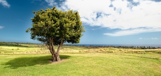 ecological holiday in tuscany near the sea