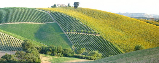 A wonderful weekend among the hills of Macerata