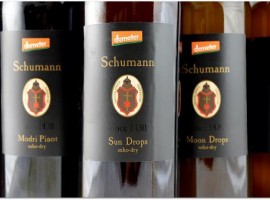 Šuman biodynamic winery - biodynamic wine holidays in Slovenia