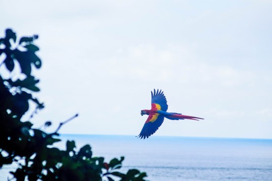 Costa Rica