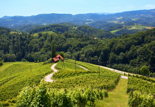 ŠSpicnik Heart on wine road - Ecobnb.com