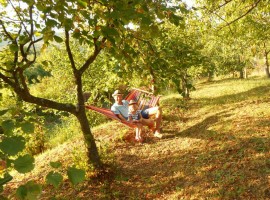 Ecobnb.com - Houses of Slovenian Istria
