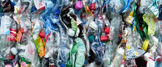 mass of plastic bottles