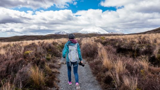 Hiking trail. Photo by: free-photos, via: Pixabay