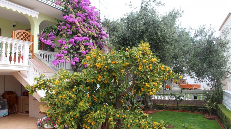 Apartmani Gojević