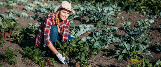 farmer for a day