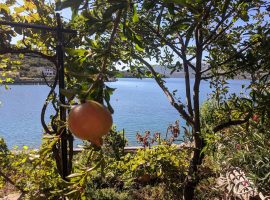 island Rava local produce