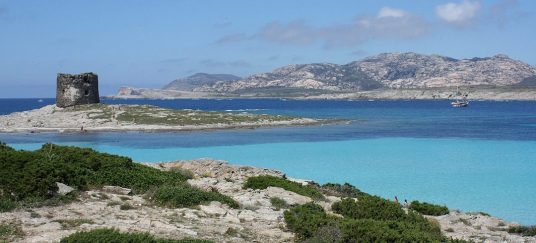 Stintino, Tower Pelosa and Asinara