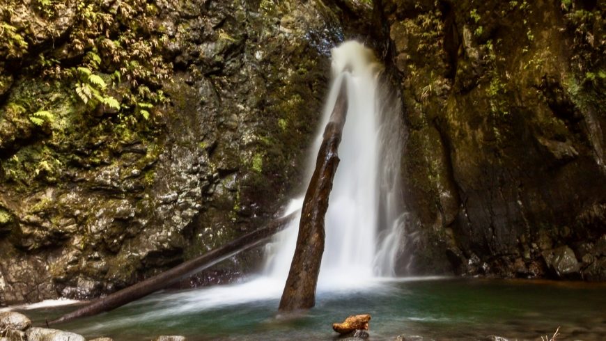 Salto do Cagarrão, one of the 10 must-see Waterfalls in the Azores. Photos by discoverazore.com