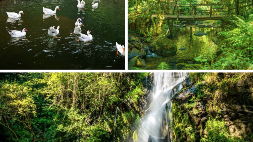 Aveiro Waterfall. One of The 10 must-see waterfalls in the Azores. Photos by Pinterest.com, Itinerari.com