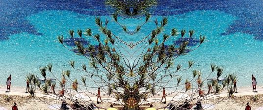 tree of life