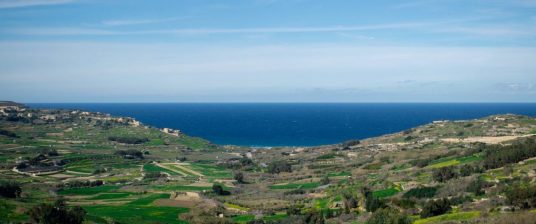 Gozo