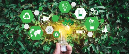sustainable business