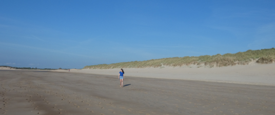 The Wonders of the North Sea. Photo by Irene Paolinelli