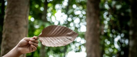 sustainable travel