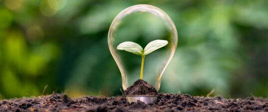 Sustainable Travelling tips