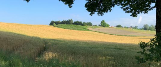 Green weekend in Tuscany, in Mugello region