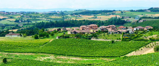 What to do and what to see in Monferrato