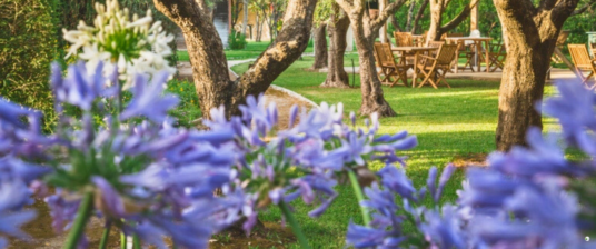 Agriturismo Biologico Salos: A Sustainable Oasis in the Heart of Salento