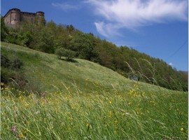 Compiano Castle, emilianischen Apennin