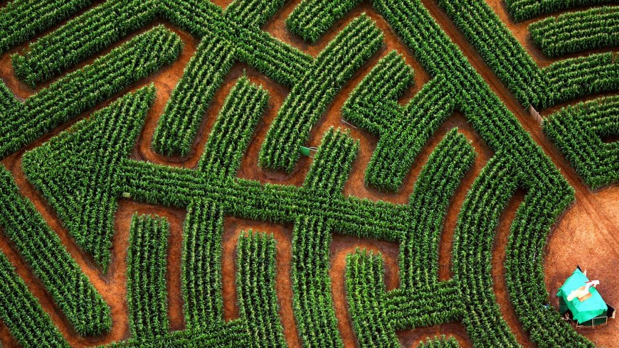 labyrinthe de Ribeauville