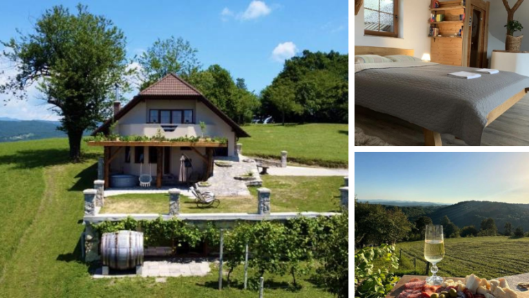 maison entourée par le vignoble en slovénie