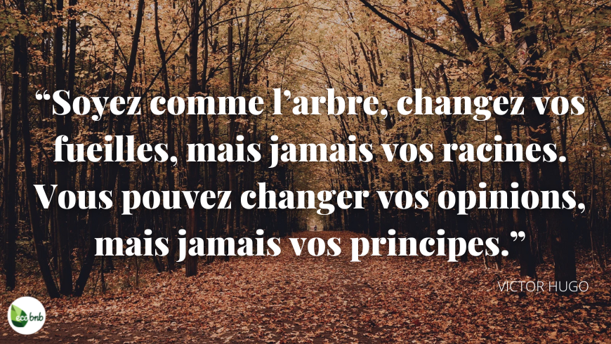citations sur les arbres Victor Hugo