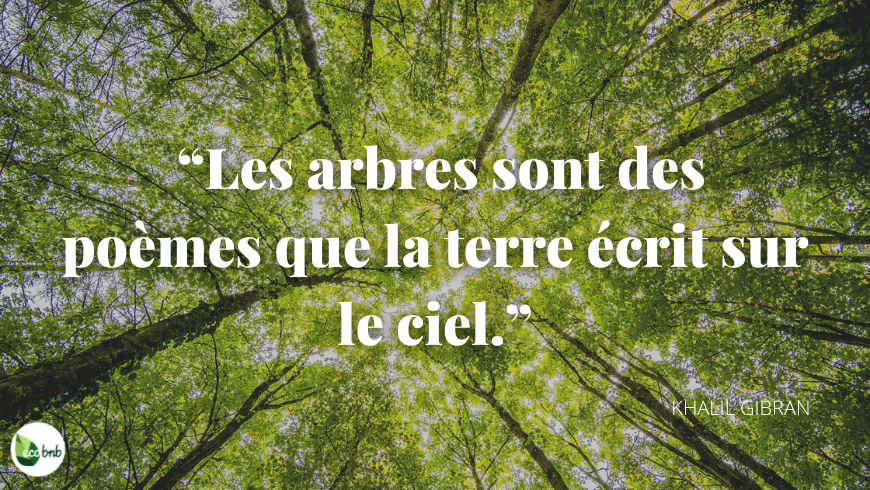 citation de Khalil Gibran sur les arbres