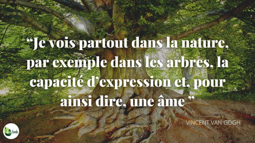 van Gogh citation sur les arbres