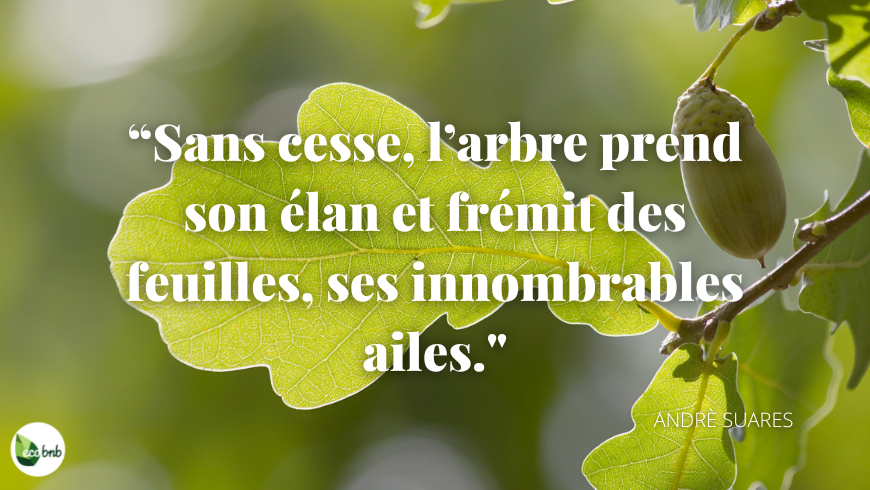 André Suarès citation arbres