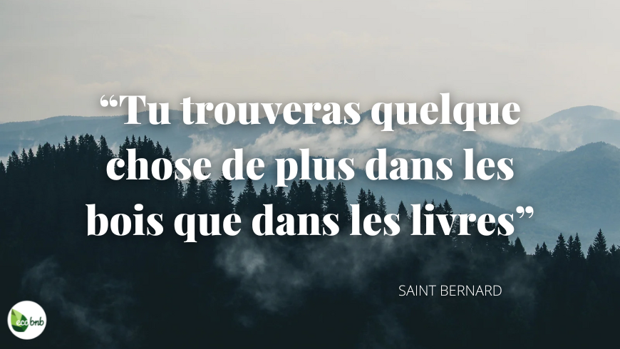 Saint Bernard citation sur les bois