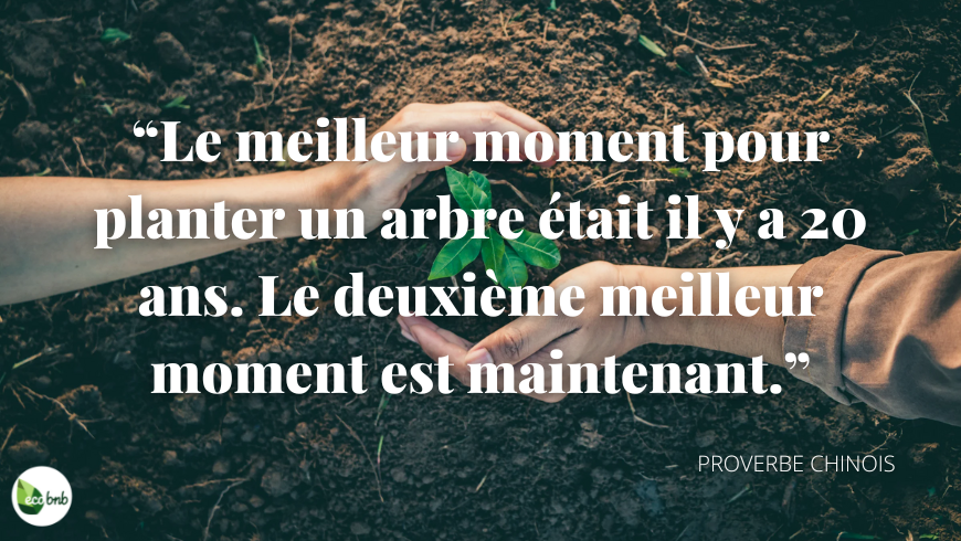 proverbe chinois sur les arbres