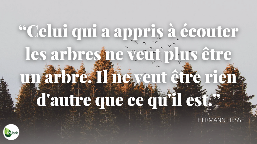 hermann hesse citation arbres
