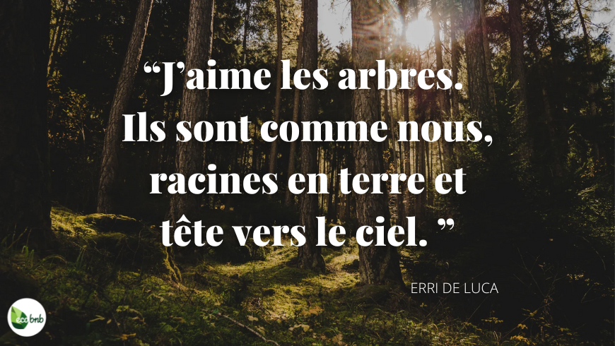 citation arbres Erri de Luca