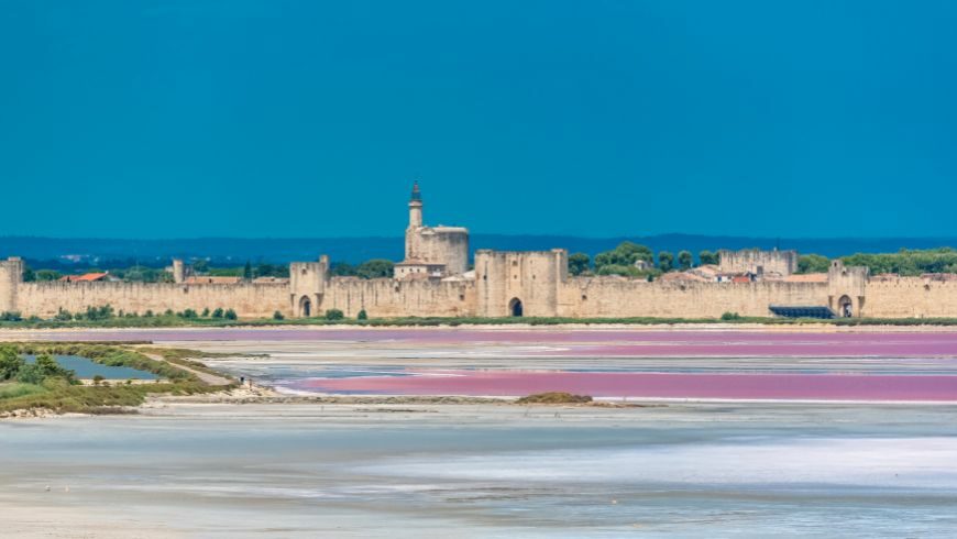 salain d'aigues-mortes en camargue