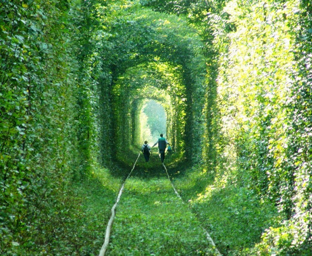 rotaie verdi tunnel of love