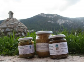 Agriturismo La Fonte, Trentino