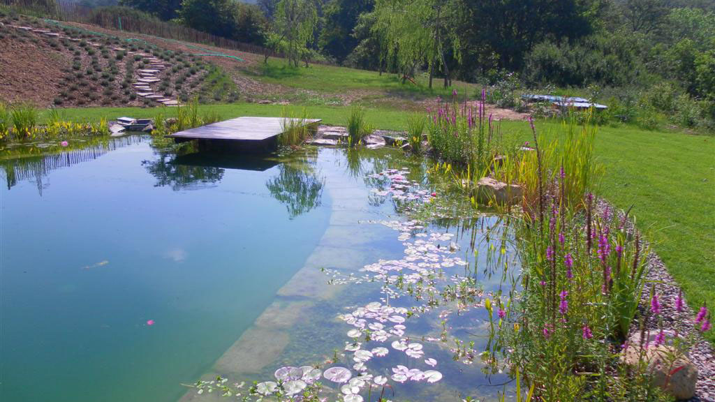 Piscine naturali e biolaghi: ecco dove tuffarvi in italia! Piscine naturali torino