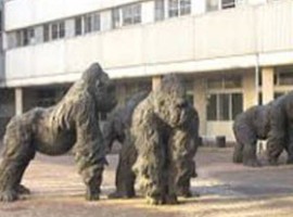 Statue gorilla