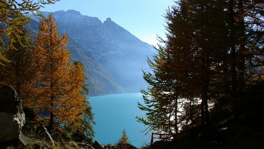 la valpelline in autunno: lago e alcuni alberi