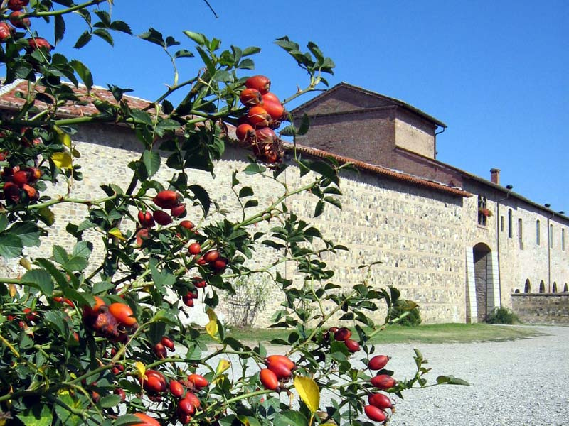 Corte di Giarola, Parco del Taro, Turismo Emilia Romagna, via flickr