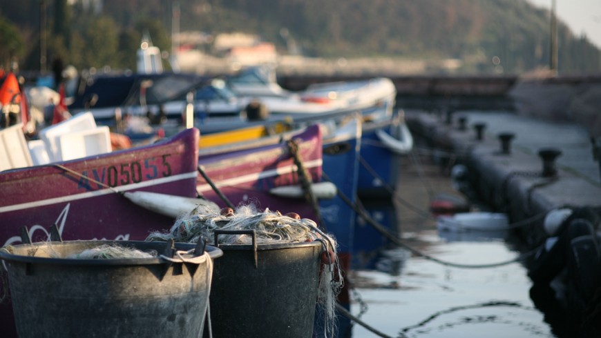 Barche da pesca e pesce del lago di Garda