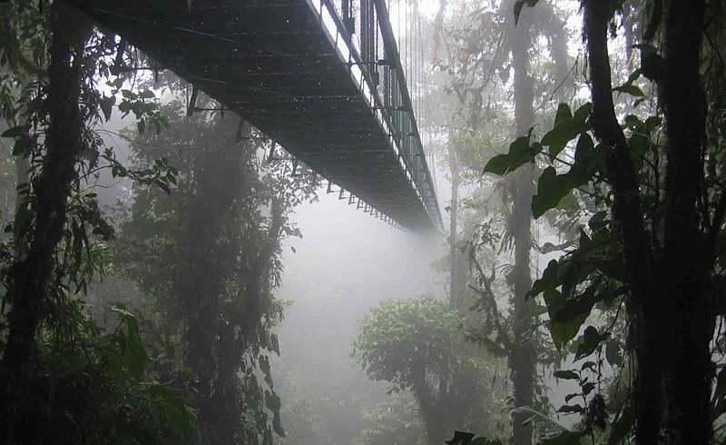 Percorso tra gli alberi, Sant'Elena Skywalk, in Costarica